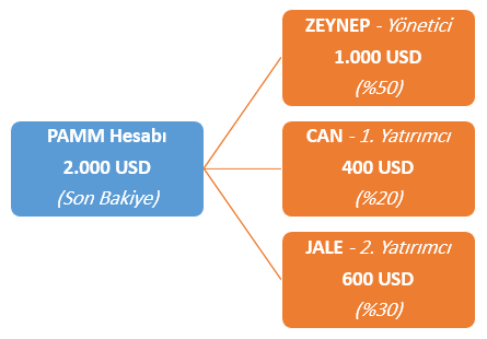 Alpari PAMM hesap örneği 3