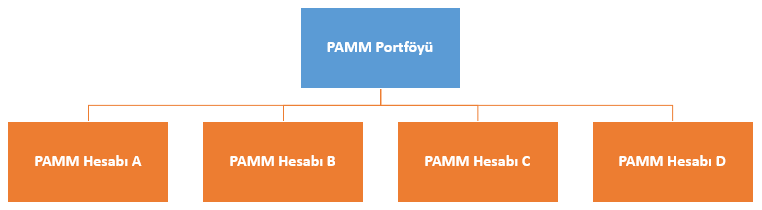 Alpari PAMM Portföy örneği