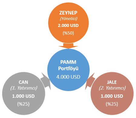 Alpari PAMM yatırım örneği 1
