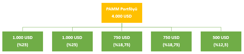 Alpari PAMM yatırım örneği 2