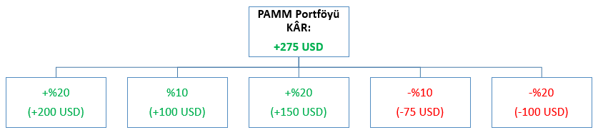 Alpari PAMM Portföy Kârı
