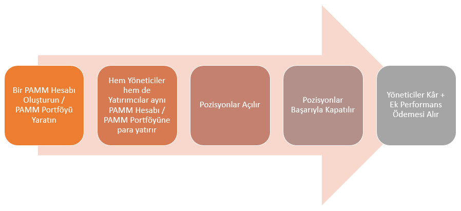 Alpari PAMM Yöneticileri