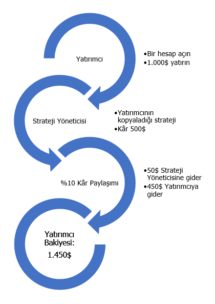 FXTM INVEST Örnek